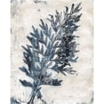 thumbnail image 3 of Bramma, Lila 20x24 Black Modern Framed Museum Art Print Titled - Presence of Nature II, 3 of 5