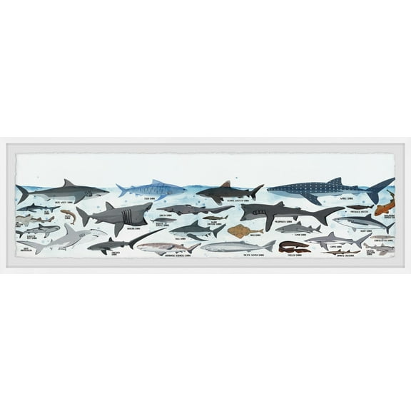 Marmont Hill Sharks of the World Framed Painting Print