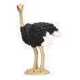 thumbnail image 4 of Modelo de avestruz animal, accesorio de modelo de avestruz textura delicada para accesorios educativos para nios para decoración del hogar Unbranded 2013210124112, 4 of 8