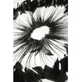 thumbnail image 2 of Coque Black Feathers Rooster 6-8 inches x 1/4 Yard, 2 of 4