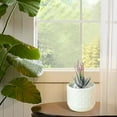 thumbnail image 6 of Hiroekza Succulent Planter Pots Plastic Imitation Glazed Vase for Flower Arrangement, Home & Office Decoration, 3.82x3.35x2.99inch White, 6 of 6