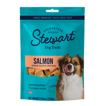 Stewart Freeze-Dried Salmon Training Treats for Dogs, 2.75 oz Pouch