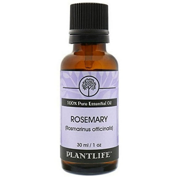 Plantlife Rosemary Aromatherapy Essential Oil - Straight From The Plant 100% Pure Therapeutic Grade - No Additives or Fillers - 30 ml