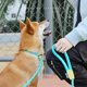 thumbnail image 2 of Ajustable Perro Integrado Tipo P Cuerda Estereoscópica Reflectante Perro Correa Collar Suministros Para Mascotas Methold PT002563-01, 2 of 6