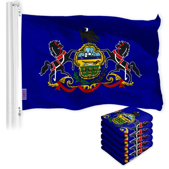 Pennsylvania PA State Flag 3x5FT 5-Pack 150D Printed Polyester By G128