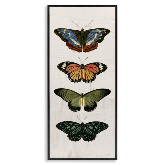 Stupell Industries Butterfly Lineup Vintage Black Framed Giclee Art, design by Dan Meneely