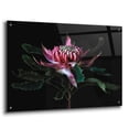 thumbnail image 2 of Epic Art 'Salmon Waratah I' by Elise Catterall, Acrylic Glass Wall Art, 36"x24", 2 of 8
