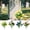 4Pack丨ABCD, variant on zhonghuaying 1 Pack Artificial Flower Bouquet, 4 Color Options, Realistic Faux Flower Stems with Greenery for Outdoor Display and Decorative Arrangements (B)