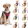 thumbnail image 2 of Tiberpet Dog Chest Harness for Medium Sized Dogs Vest Adjustable Easy Puppy Harness Anti-Lost Leash Undershirt, 2 of 6