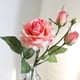 thumbnail image 5 of Brotes artificiales Rosas Flor para arreglos de centros de mesa de ramos de boda DIY UHUSE  Flores artificiales, 5 of 6