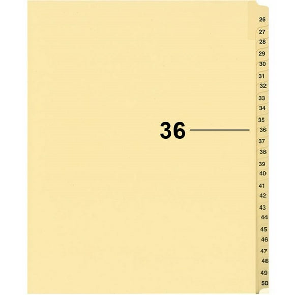 Davisgroup B1125-36 Diviseur d'Indice Numérique de Litige Individuel 36 - 1 Chaque