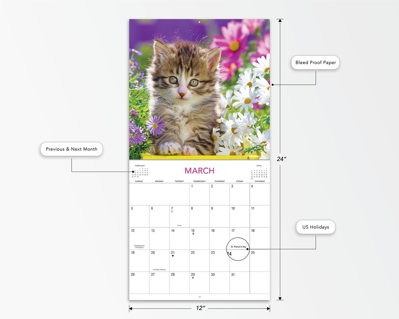 2023-12 Month Calendar- Kittens 12x12 Hanging Wall Calendar by DaySpring