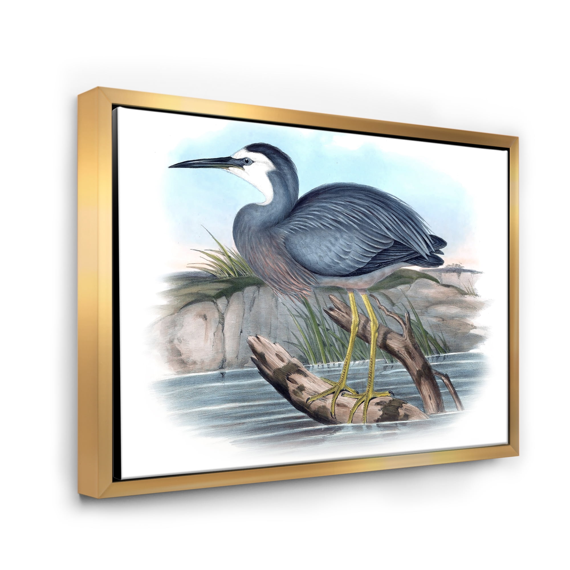 Designart 'Ancient Australian Birds II' Traditional Framed Canvas Wall Art Print
