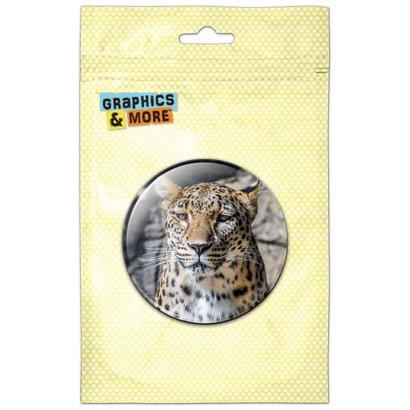 Leopard Staring Pinback Button Pin Badge