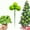 Green#2, variant on Christmas Ball Flower Branch Cutting | Festive Multicolor & Green Plastic Trident Ornament | Holiday Party Centerpiece Décor | 19.5x2.5cm | Single Pack