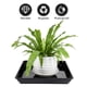thumbnail image 4 of 2 platillos para plantas: bandeja de plástico para macetas, platillo rectangular, bandeja de goteo para plantas, soporte para macetas., 4 of 7