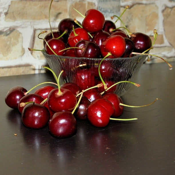 Sweet Cherries Sweet Cherries Red Delicious Fruit12 Inch By 18 Inch