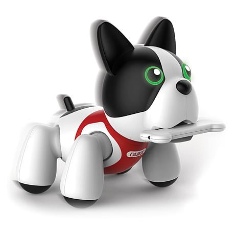 duke the robot dog