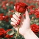 thumbnail image 5 of Juego de 3 placas para estampar uñas con diseño de rosas, plantillas para uñas con diseño de ramo, plantillas para manicura con estampado floral vintage., 5 of 7