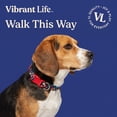 thumbnail image 2 of Vibrant Life Adjustable Fashion Dog Collar, Multicolor Bones, M, 2 of 11