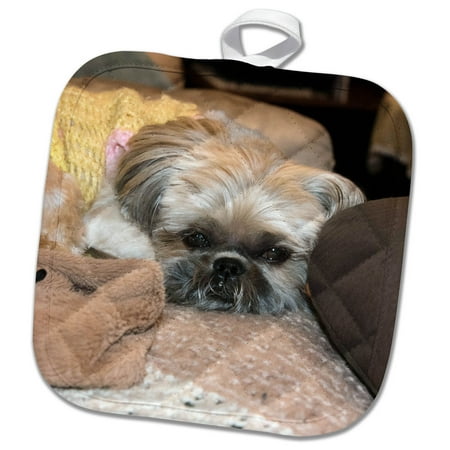 3dRose A Shih Tzu baby in a yellow sweater laying on a tan afghan - Pot Holder, 8 by