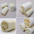 thumbnail image 2 of Paquete de 6 esponjas 100% naturales de 4 pulgadas, depurador exfoliante de spa para el cuidado de la piel en el baño, la mejor esponja exfoliante corporal Luffa, elimina la piel muerta, 2 of 5