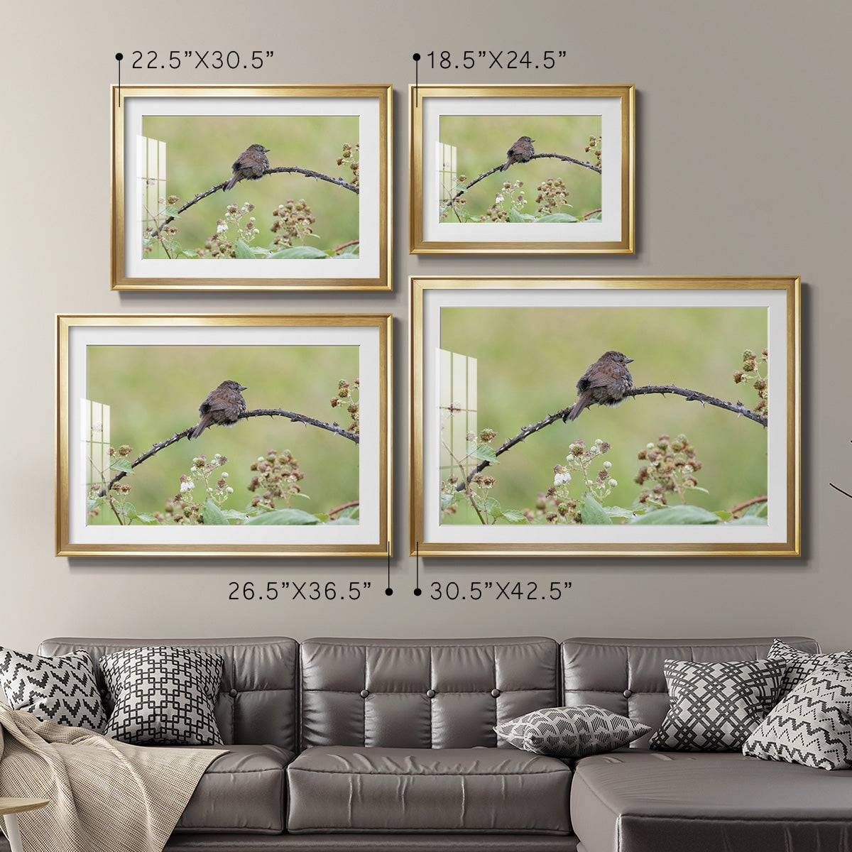 Resting Sparrow Premium Framed Print - Ready to Hang