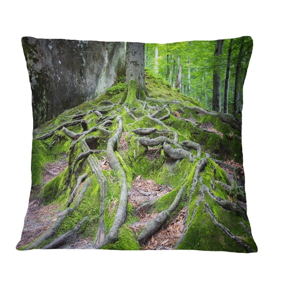 Designart Deep Moss Forest in Ukraine - Landscape Printed Throw Pillow - 12x20