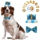 thumbnail image 1 of perro cumpleaños accesorios azul Adepaton ZJWJ527, 1 of 6