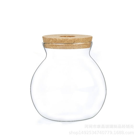 QIDITONG 2 Sets Tabletop Plant Propagation Station Glass Vase Glass Terrariums Hydroponic Vase with Bamboo Tray for Office Desk and Home Decor