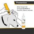 thumbnail image 2 of Silver Honey Rapid Ear Care Vet Strength Ear Rinse for Dogs & Cats, 4 fl oz Bottle, 2 of 7
