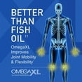 thumbnail image 2 of OmegaXL – Suplemento de Omega-3 con Mejillón de Labio Verde, 120 Cápsulas Blandas, 2 of 2