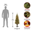 thumbnail image 3 of National Tree Company 4 ft. Glittery Gold Pine Entrance Tree with Clear Lights, 3 of 5