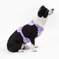 thumbnail image 2 of THE LICKER STORE Arlo Large Adjustable Soft Padded No Pull Pet Harness with 3 Buckles and 3 Leash Clips, Purple, HNS1003H, 2 of 8