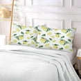 thumbnail image 5 of GZHJMY Lemon Pattern Pillowcase Queen Size, Super Soft Pillow Shams Covers, Plush Cozy Pillow Cases with Zipper, 20" X 30"（573）, 5 of 6
