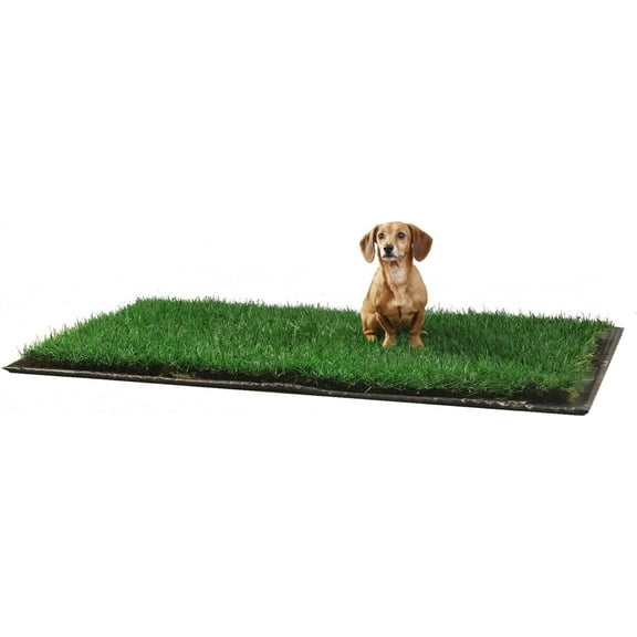 DoggieLawn Dog Potty - Real Grass - XLarge 24x48 inches