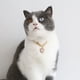 thumbnail image 3 of Collar para perros Colco Rosado Collar de cachorro de gato, 3 of 7
