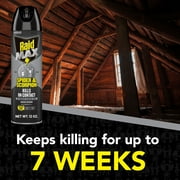 Raid MAX Indoor & Outdoor Spider & Scorpion Killer Bug Spray, 12 oz