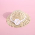 thumbnail image 3 of Sombrero para perro o gato, ajustable, de punto, para verano, moderno, para perro, 3 of 7