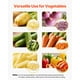 thumbnail image 3 of VEVOR Cortador de papas fritas comercial, picador de frutas y verduras de acero inoxidable con 2 cuchillas de repuesto de 1/2 pulgada y 3/8 de pulgada, cortador de papas electrico, 3 of 9
