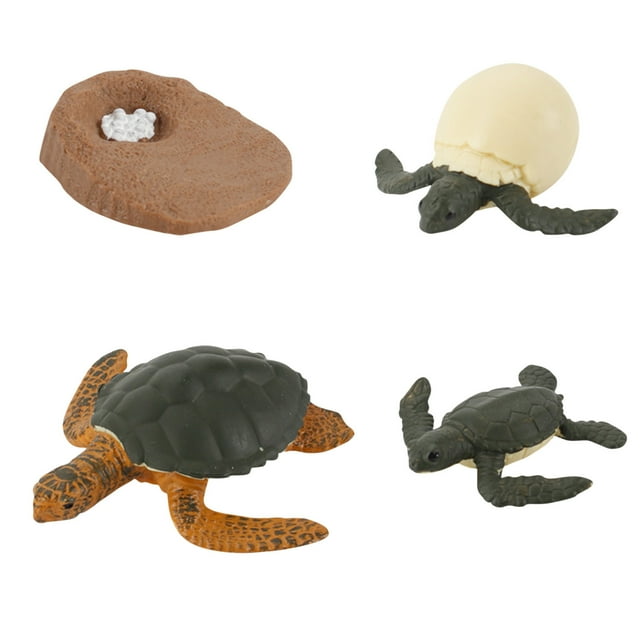 Figurine d'Insecte 4 Pcs Cycle de Vie Animal Plastique de la Couvée à la Période Mature