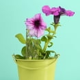thumbnail image 4 of HEALEEP 2Ud Soporte De Planta De Hierro Color Marrón Para Plantas Trepadoras En Interiores, 4 of 8