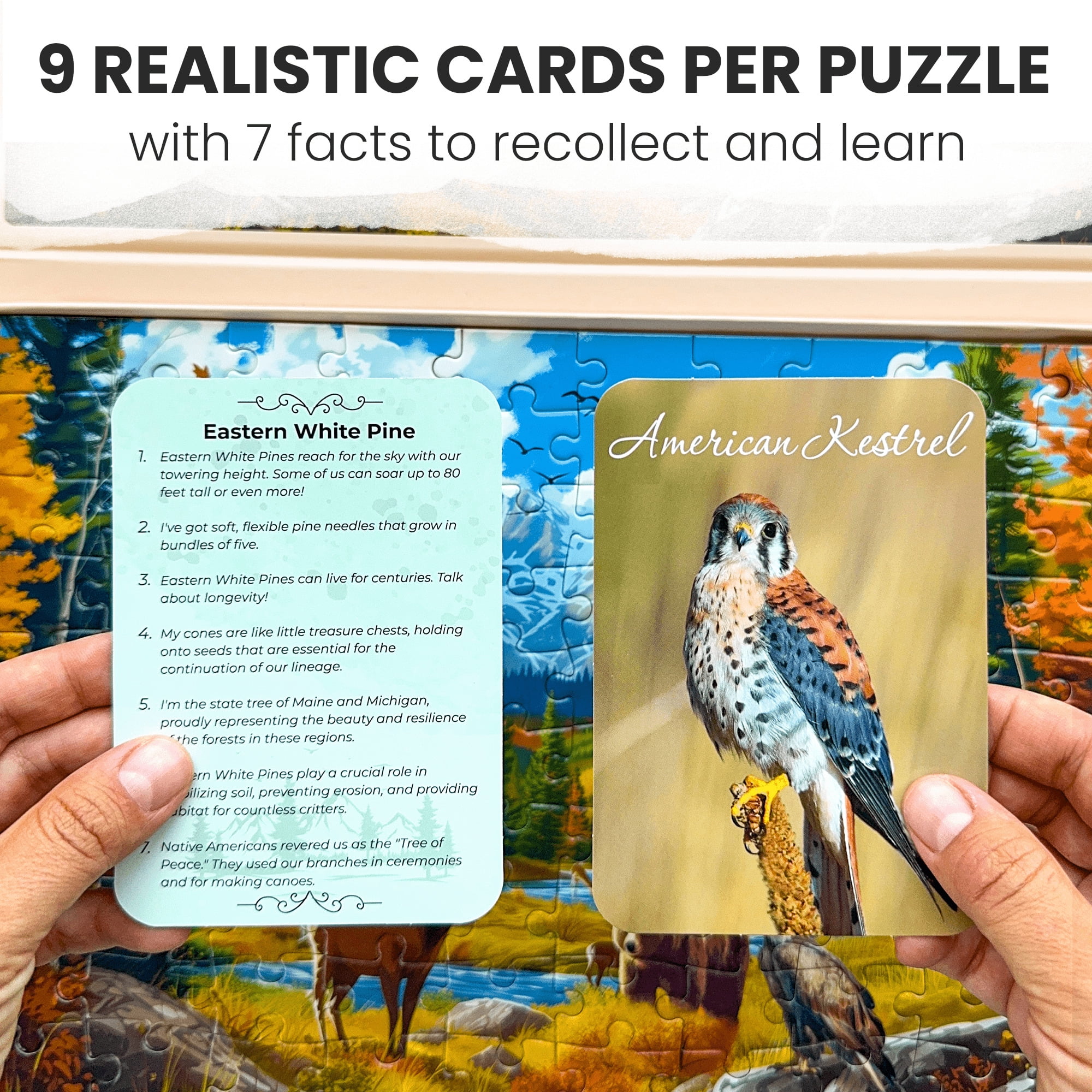 Quokka Large Piece puzzles for Seniors - Dementia & Alzheimers Products for Elderly Activities