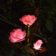 thumbnail image 1 of LED Rose Solar Flower Lights Luces de estaca de jardín decorativas al aire libre para Garden Yard Grave Jarrón Flores Decoración Pink brillar Hogar, 1 of 6