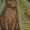 GQ, variant on Rabbits and woodland flora Long Dress dress women elegant luxury Dress vintage dresses for special events