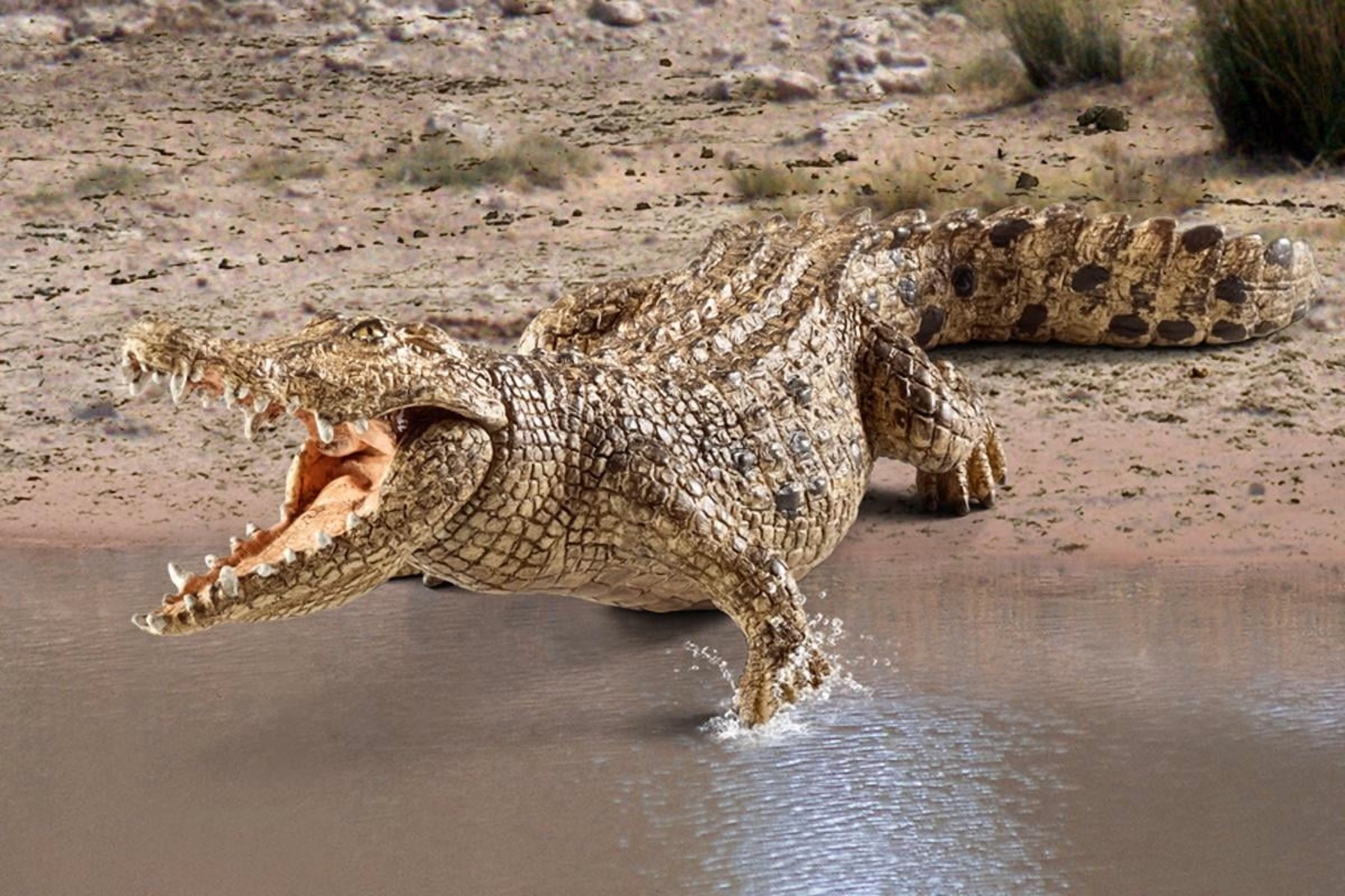 Schleich Wild Life - Realistic Wild Animal Toy For Boys and Girls, Crocodile Toy Figurine with Movable Jaw - Kids Ages 3+