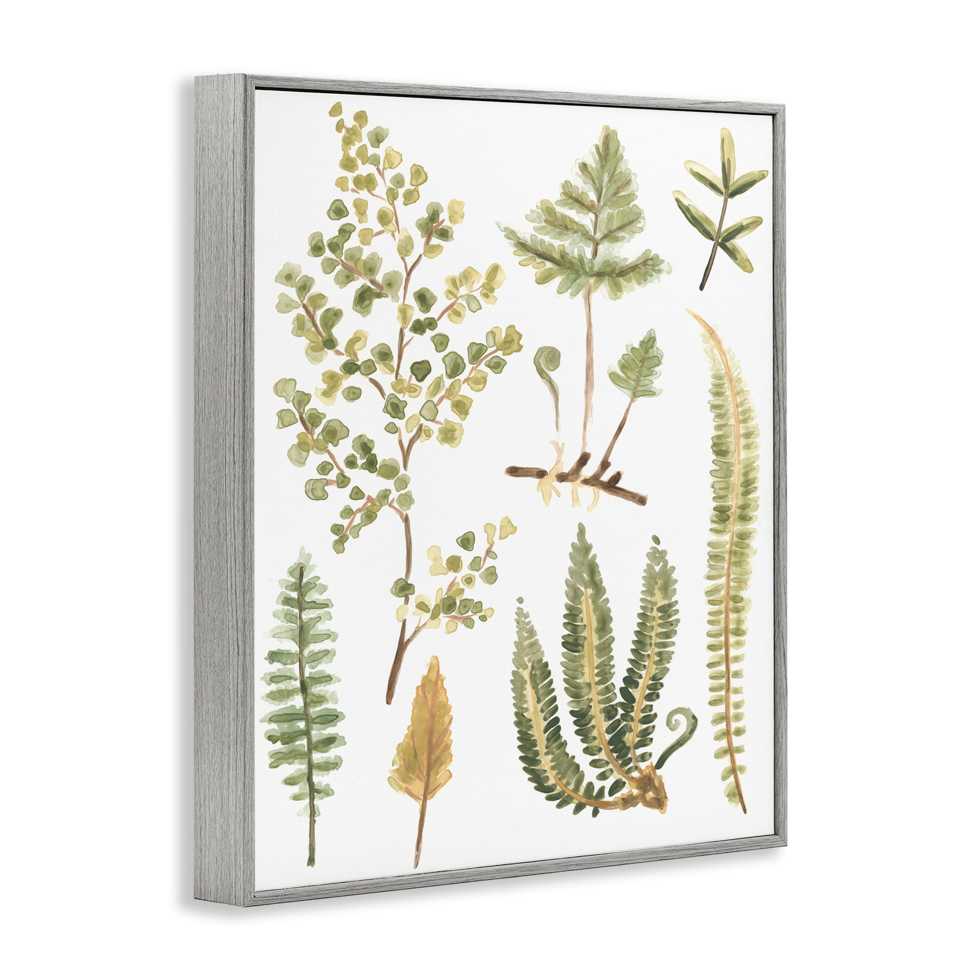 Stupell Industries Wild Forest Ferns Botanical & Floral Painting Gray Framed Art Print Wall Art, 11 x 14