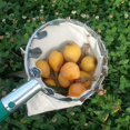 thumbnail image 3 of Outil de Ramassage de Fruits, Outils de Jardinage en Métal, 3 of 3