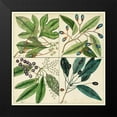 thumbnail image 2 of Catesby, Mark 12x12 Black Modern Framed Museum Art Print Titled - Catesby Leaf Quadrant I, 2 of 5