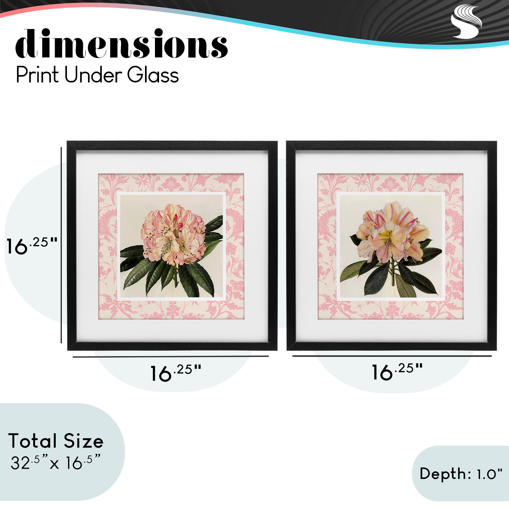 Stupell Industries Pink Vintage Pattern Botanicals 2 Piece Black Framed Print Under Glass Set, design by Livi Finn